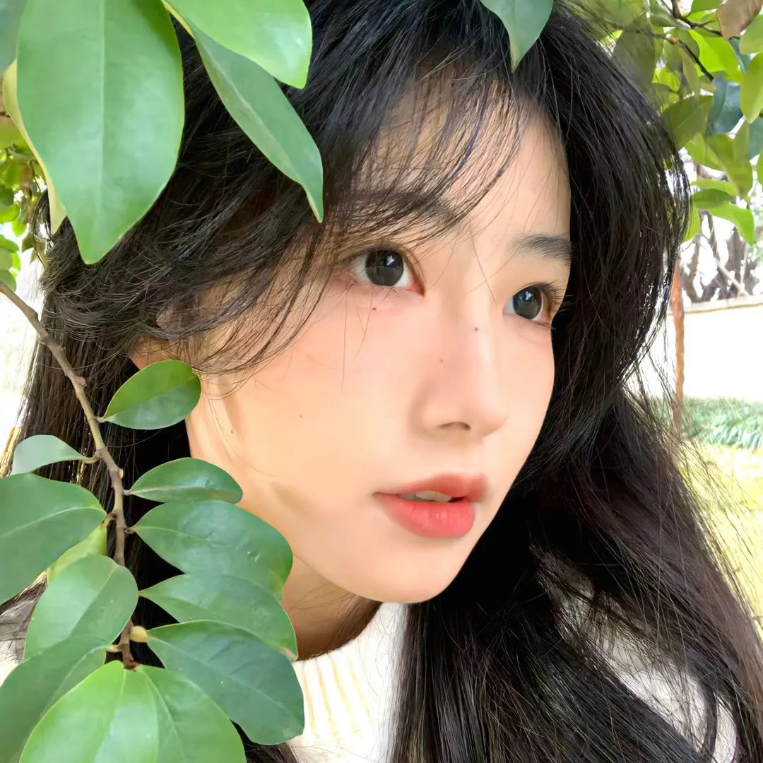 伊犁河谷